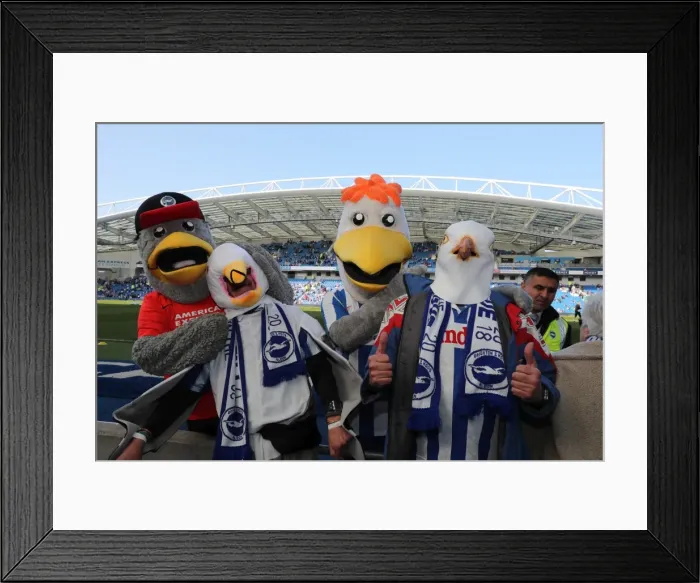 Framed Print : Thrilling EFL Sky Bet Championship Showdown: Brighton & Hove Albion vs. Bristol City at the American Express Community Stadium (29th April 2017) Framed Print : Thrilling EFL Sky Bet Championship Showdown: Brighton & Hove Albion vs. Bristol City at the American Express Community Stadium (29th April 2017)
