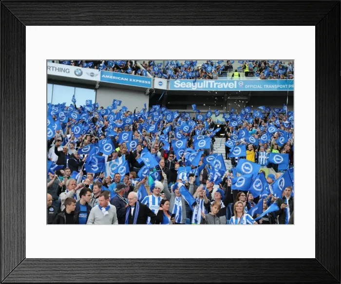 Framed Print : Thrilling EFL Sky Bet Championship Showdown: Brighton & Hove Albion vs. Bristol City at American Express Community Stadium (29th April 2017) Framed Print : Thrilling EFL Sky Bet Championship Showdown: Brighton & Hove Albion vs. Bristol City at American Express Community Stadium (29th April 2017)