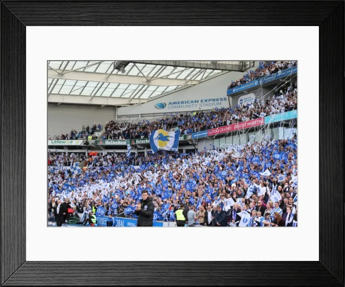 Framed Print : Thrilling EFL Sky Bet Championship Showdown: Brighton & Hove Albion vs. Bristol City (29APR17) Framed Print : Thrilling EFL Sky Bet Championship Showdown: Brighton & Hove Albion vs. Bristol City (29APR17)