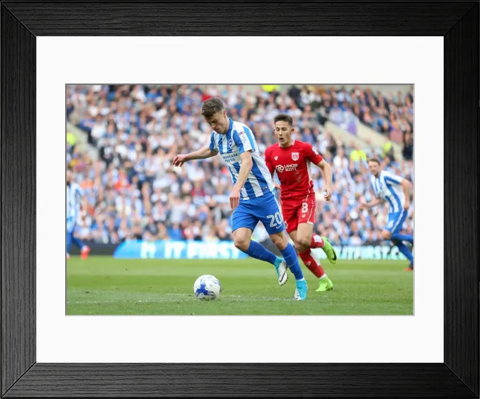 Framed Print : Thrilling EFL Sky Bet Championship Showdown: Brighton & Hove Albion vs. Bristol City (29APR17) Framed Print : Thrilling EFL Sky Bet Championship Showdown: Brighton & Hove Albion vs. Bristol City (29APR17)