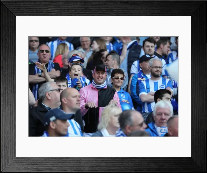 Framed Print : Brighton and Hove Albion Fans Celebrate Promotion to Premier League at Villa Park (07MAY17) Framed Print : Brighton and Hove Albion Fans Celebrate Promotion to Premier League at Villa Park (07MAY17)