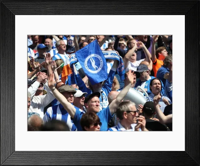 Framed Print : Brighton and Hove Albion Fans Celebrate Promotion to Premier League at Villa Park (07MAY17)