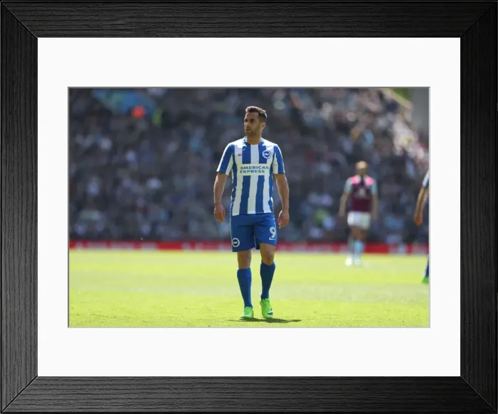Framed Print : Brighton and Hove Albion vs. Aston Villa: EFL Sky Bet Championship Showdown at Villa Park (07MAY17) Framed Print : Brighton and Hove Albion vs. Aston Villa: EFL Sky Bet Championship Showdown at Villa Park (07MAY17)