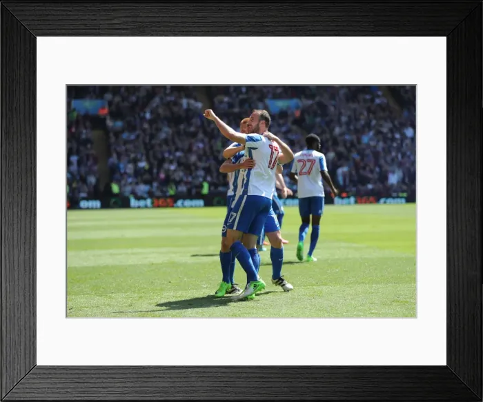 Framed Print : Brighton and Hove Albion vs. Aston Villa: EFL Sky Bet Championship Showdown at Villa Park (07MAY17) Framed Print : Brighton and Hove Albion vs. Aston Villa: EFL Sky Bet Championship Showdown at Villa Park (07MAY17)
