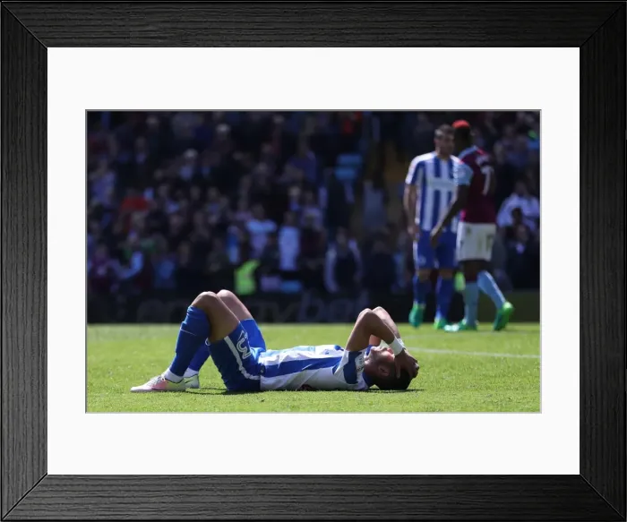 Framed Print : Brighton and Hove Albion vs. Aston Villa: EFL Sky Bet Championship Showdown at Villa Park (07MAY17) Framed Print : Brighton and Hove Albion vs. Aston Villa: EFL Sky Bet Championship Showdown at Villa Park (07MAY17)
