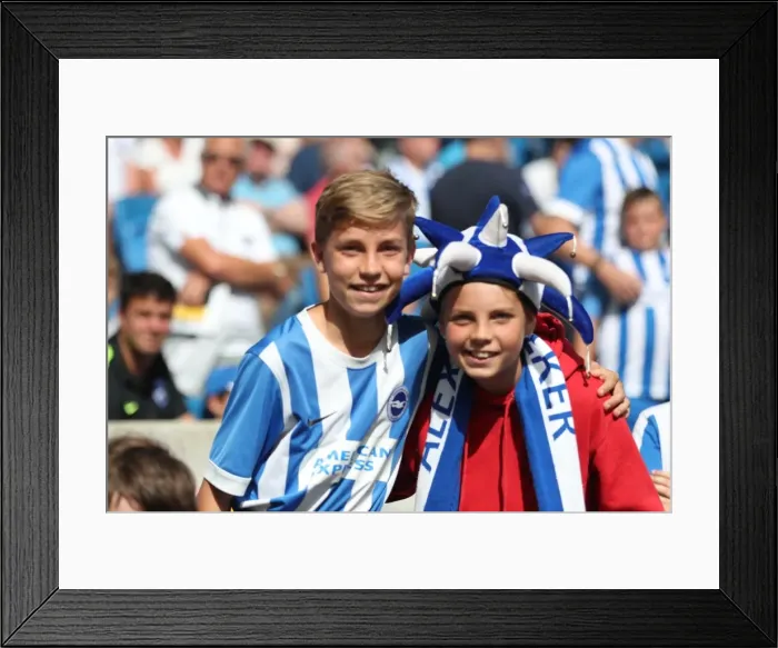 Framed Print : Sea of Supporters: Brighton and Hove Albion vs Atletico de Madrid at American Express Community Stadium (06AUG17) Framed Print : Sea of Supporters: Brighton and Hove Albion vs Atletico de Madrid at American Express Community Stadium (06AUG17)