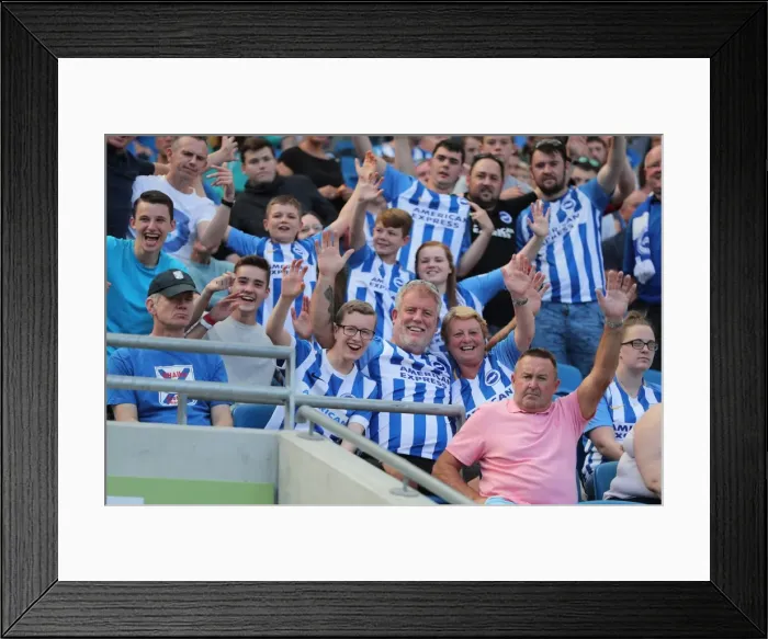 Framed Print : Sea of Supporters: Brighton and Hove Albion vs Atletico de Madrid at American Express Community Stadium (06AUG17)