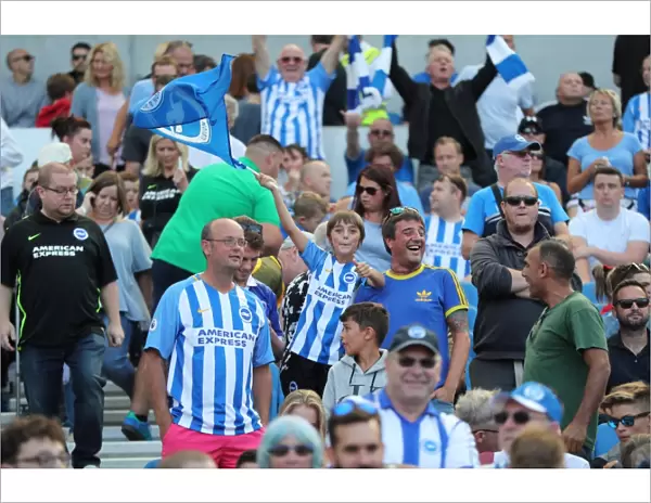Sea of Supporters: Brighton and Hove Albion vs Atletico de Madrid at the American Express Community Stadium (06AUG17)