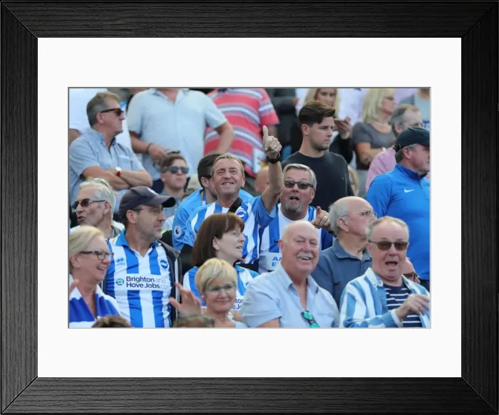 Framed Print : Sea of Supporters: Brighton and Hove Albion vs Atletico de Madrid at the American Express Community Stadium (06AUG17) Framed Print : Sea of Supporters: Brighton and Hove Albion vs Atletico de Madrid at the American Express Community Stadium (06AUG17)