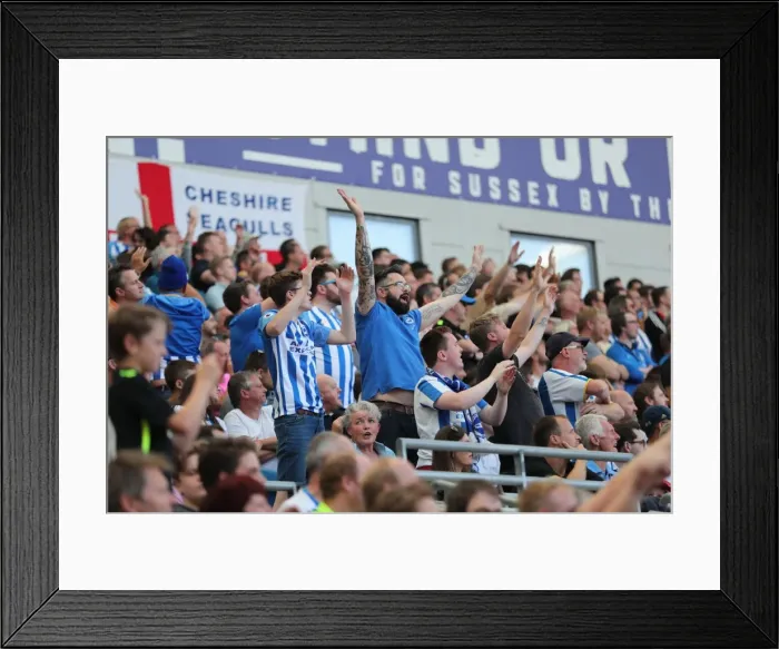 Framed Print : Sea of Supporters: Brighton and Hove Albion vs Atletico de Madrid at the American Express Community Stadium (06AUG17) Framed Print : Sea of Supporters: Brighton and Hove Albion vs Atletico de Madrid at the American Express Community Stadium (06AUG17)