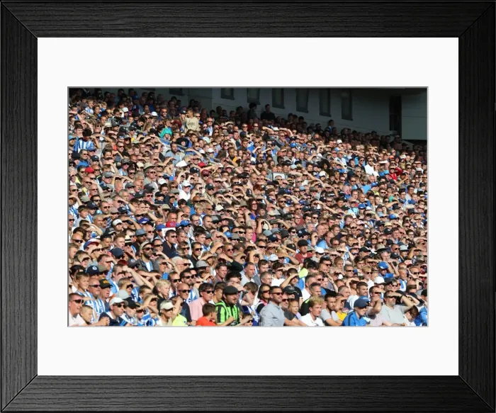 Framed Print : Brighton and Hove Albion Fans Cheer at the American Express Community Stadium During Pre-Season Friendly Against Atletico de Madrid (06AUG17) Framed Print : Brighton and Hove Albion Fans Cheer at the American Express Community Stadium During Pre-Season Friendly Against Atletico de Madrid (06AUG17)