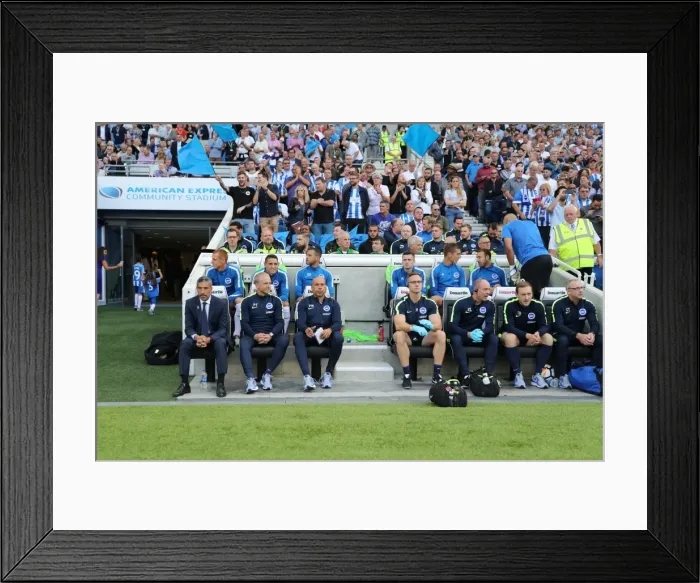 Framed Print : Brighton and Hove Albion vs Manchester City: Premier League Showdown at American Express Community Stadium (August 12, 2017) Framed Print : Brighton and Hove Albion vs Manchester City: Premier League Showdown at American Express Community Stadium (August 12, 2017)
