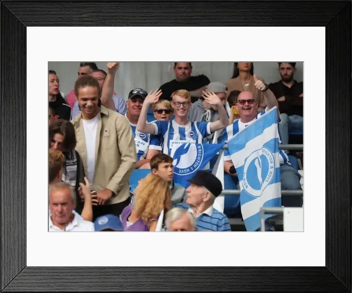 Framed Print : Brighton and Hove Albion vs Manchester City: Premier League Showdown at American Express Community Stadium (August 12, 2017) Framed Print : Brighton and Hove Albion vs Manchester City: Premier League Showdown at American Express Community Stadium (August 12, 2017)