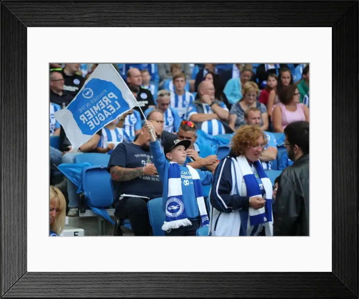 Framed Print : Brighton and Hove Albion vs Manchester City: Premier League Showdown at American Express Community Stadium (August 12, 2017) Framed Print : Brighton and Hove Albion vs Manchester City: Premier League Showdown at American Express Community Stadium (August 12, 2017)