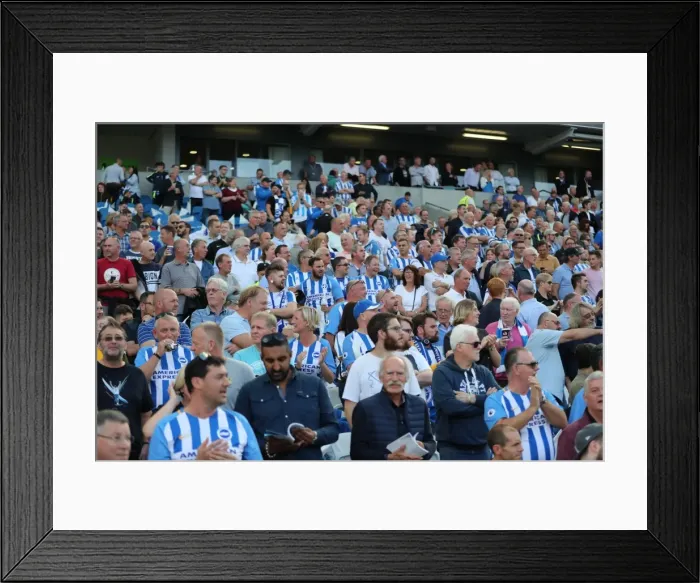 Framed Print : Brighton and Hove Albion vs Manchester City: Premier League Showdown at American Express Community Stadium (August 12, 2017) Framed Print : Brighton and Hove Albion vs Manchester City: Premier League Showdown at American Express Community Stadium (August 12, 2017)