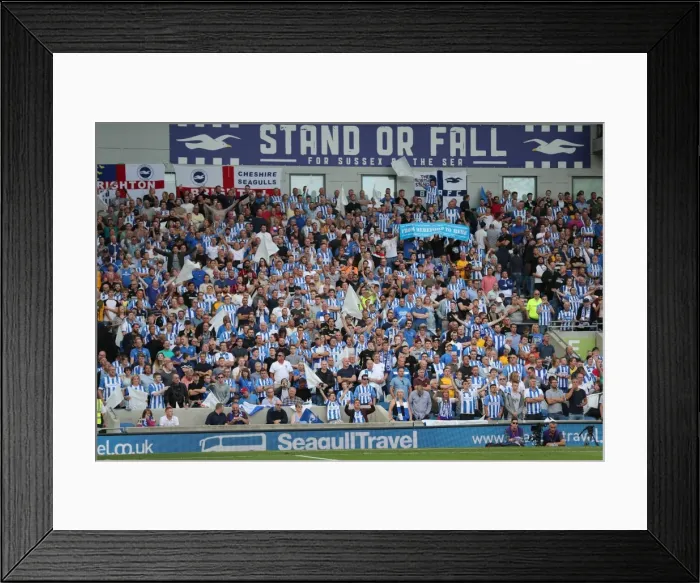 Framed Print : Brighton and Hove Albion vs Manchester City: Premier League Showdown at American Express Community Stadium (August 12, 2017) Framed Print : Brighton and Hove Albion vs Manchester City: Premier League Showdown at American Express Community Stadium (August 12, 2017)
