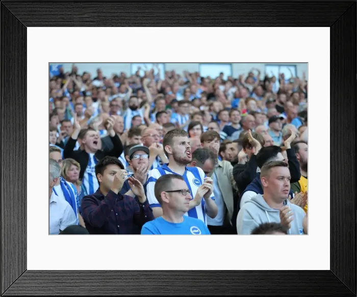 Framed Print : Brighton and Hove Albion vs Manchester City: Premier League Showdown at American Express Community Stadium (August 12, 2017) Framed Print : Brighton and Hove Albion vs Manchester City: Premier League Showdown at American Express Community Stadium (August 12, 2017)