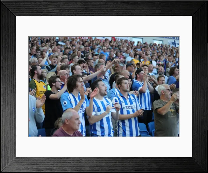 Framed Print : Brighton and Hove Albion vs Manchester City: Premier League Showdown at American Express Community Stadium (August 12, 2017) Framed Print : Brighton and Hove Albion vs Manchester City: Premier League Showdown at American Express Community Stadium (August 12, 2017)