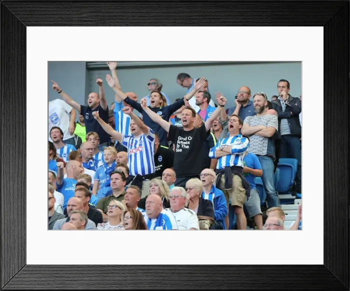 Framed Print : Brighton and Hove Albion vs Manchester City: Premier League Showdown at American Express Community Stadium (August 12, 2017) Framed Print : Brighton and Hove Albion vs Manchester City: Premier League Showdown at American Express Community Stadium (August 12, 2017)