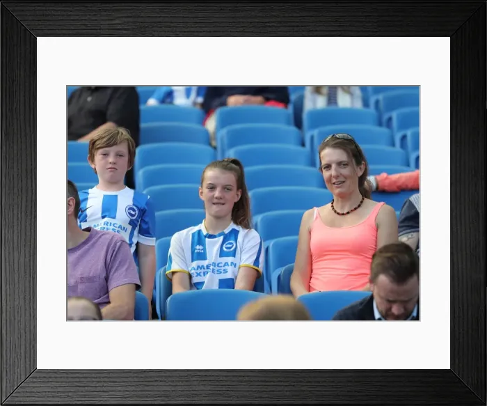 Framed Print : Young Seagulls in Action: Open Training Session at American Express Community Stadium (August 15, 2017) Framed Print : Young Seagulls in Action: Open Training Session at American Express Community Stadium (August 15, 2017)
