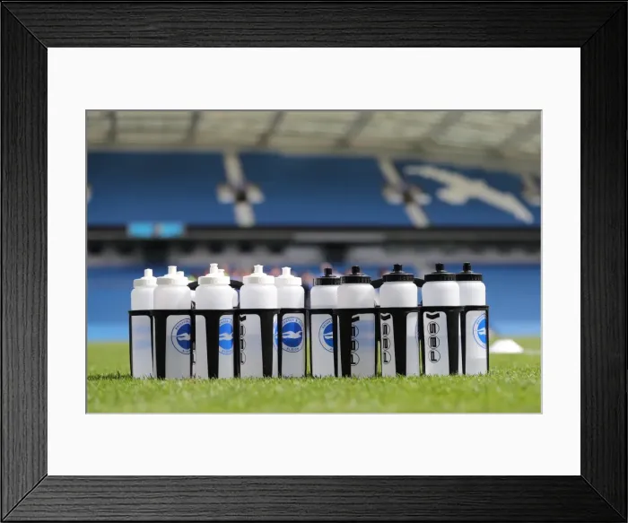 Framed Print : Young Seagulls in Training: Open Session at American Express Community Stadium (August 15, 2017) Framed Print : Young Seagulls in Training: Open Session at American Express Community Stadium (August 15, 2017)