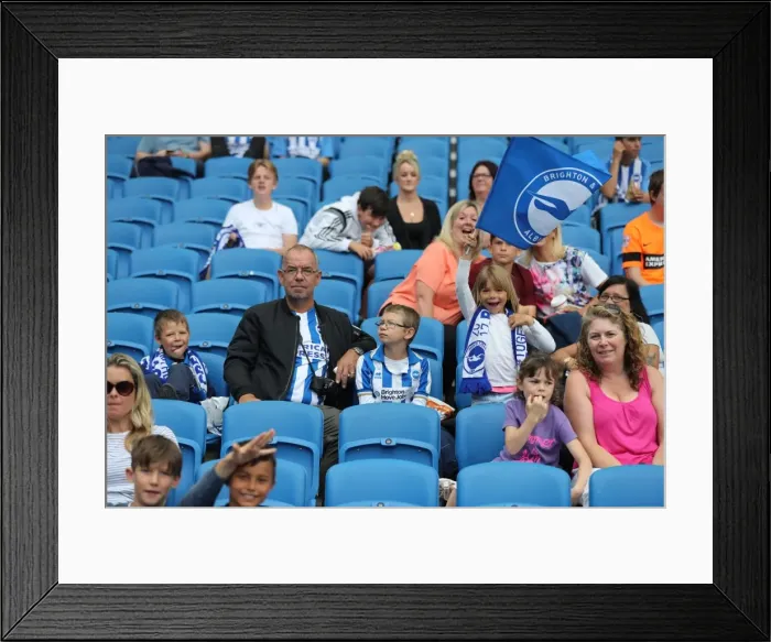 Framed Print : Young Seagulls in Action: Brighton and Hove Albion FC's Open Training Session at American Express Community Stadium (15th August 2017) Framed Print : Young Seagulls in Action: Brighton and Hove Albion FC's Open Training Session at American Express Community Stadium (15th August 2017)