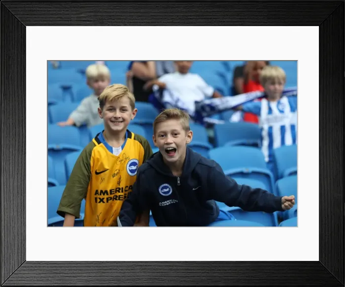 Framed Print : Young Seagulls in Action: Brighton & Hove Albion FC's Open Training Session at American Express Community Stadium (15th August 2017) Framed Print : Young Seagulls in Action: Brighton & Hove Albion FC's Open Training Session at American Express Community Stadium (15th August 2017)