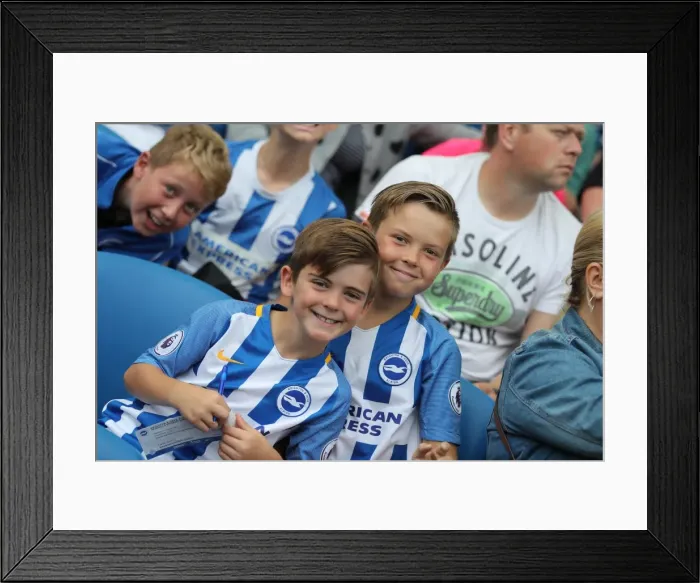 Framed Print : Young Seagulls in Training: Open Session at American Express Community Stadium (August 15, 2017) Framed Print : Young Seagulls in Training: Open Session at American Express Community Stadium (August 15, 2017)