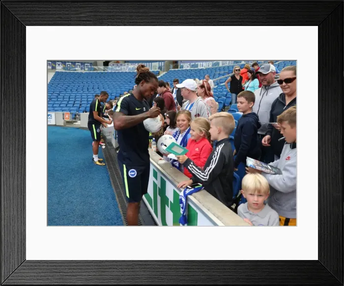 Framed Print : Young Seagulls in Action: Open Training Session at American Express Community Stadium (August 15, 2017)