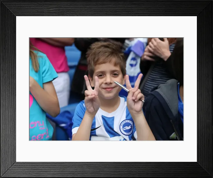 Framed Print : Young Seagulls in Training: Open Session at American Express Community Stadium (August 15, 2017) Framed Print : Young Seagulls in Training: Open Session at American Express Community Stadium (August 15, 2017)
