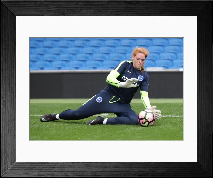 Framed Print : Young Seagulls in Training: Open Session at American Express Community Stadium (August 15, 2017) Framed Print : Young Seagulls in Training: Open Session at American Express Community Stadium (August 15, 2017)