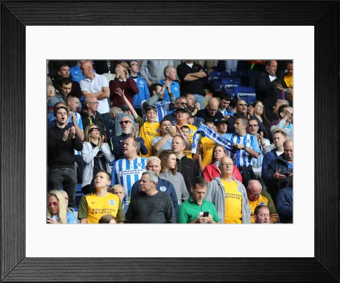 Framed Print : Premier League Showdown: Leicester City vs. Brighton & Hove Albion at King Power Stadium (19Aug17) Framed Print : Premier League Showdown: Leicester City vs. Brighton & Hove Albion at King Power Stadium (19Aug17)