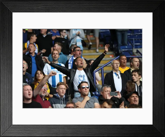 Framed Print : Premier League Showdown: Leicester City vs. Brighton & Hove Albion (19Aug17) Framed Print : Premier League Showdown: Leicester City vs. Brighton & Hove Albion (19Aug17)