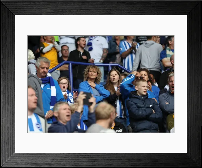 Framed Print : Premier League Showdown: Leicester City vs. Brighton & Hove Albion at King Power Stadium (19Aug17) Framed Print : Premier League Showdown: Leicester City vs. Brighton & Hove Albion at King Power Stadium (19Aug17)