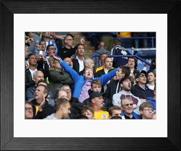 Framed Print : Premier League Showdown: Leicester City vs. Brighton & Hove Albion at King Power Stadium (19Aug17) Framed Print : Premier League Showdown: Leicester City vs. Brighton & Hove Albion at King Power Stadium (19Aug17)