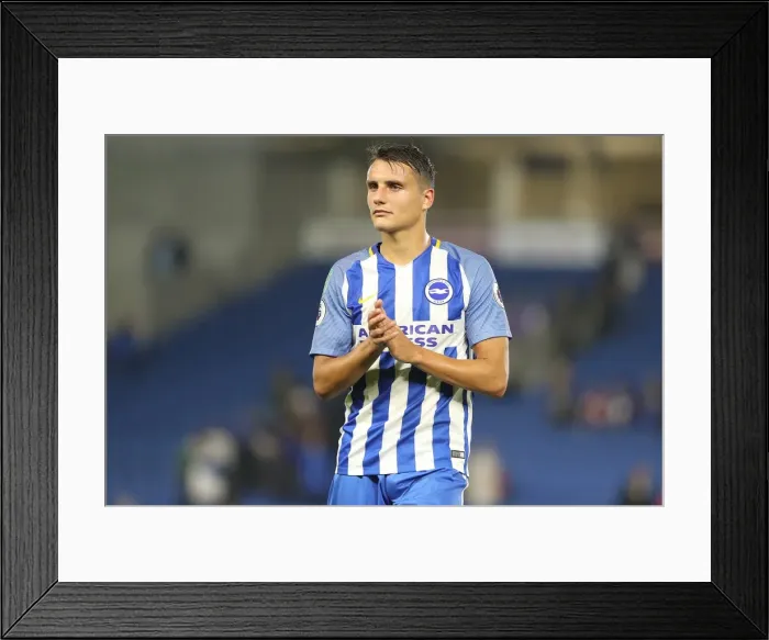 Framed Print : Brighton & Hove Albion vs Barnet: Ales Mateju Defends in EFL Cup Clash (22Aug17) Framed Print : Brighton & Hove Albion vs Barnet: Ales Mateju Defends in EFL Cup Clash (22Aug17)
