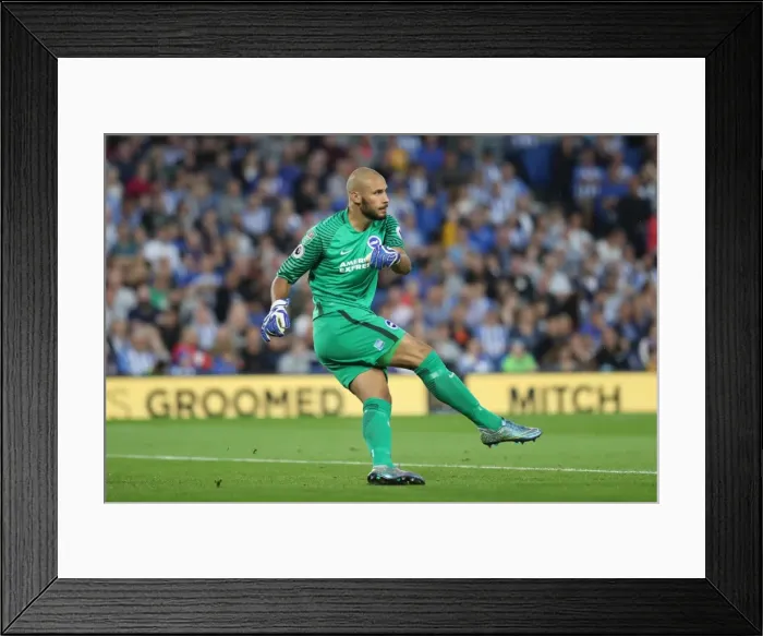 Framed Print : Brighton and Hove Albion vs Barnet: EFL Cup Showdown at American Express Community Stadium (22nd August 2017) Framed Print : Brighton and Hove Albion vs Barnet: EFL Cup Showdown at American Express Community Stadium (22nd August 2017)
