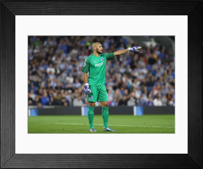Framed Print : Brighton and Hove Albion vs Barnet: EFL Cup Showdown at American Express Community Stadium (22nd August 2017) Framed Print : Brighton and Hove Albion vs Barnet: EFL Cup Showdown at American Express Community Stadium (22nd August 2017)