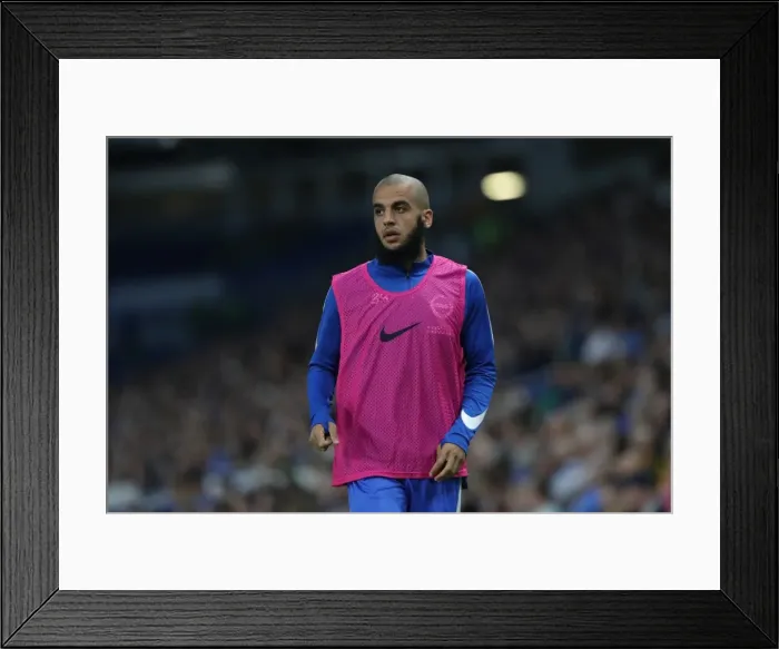 Framed Print : Brighton and Hove Albion vs Barnet: EFL Cup Showdown at American Express Community Stadium (22nd August 2017) Framed Print : Brighton and Hove Albion vs Barnet: EFL Cup Showdown at American Express Community Stadium (22nd August 2017)