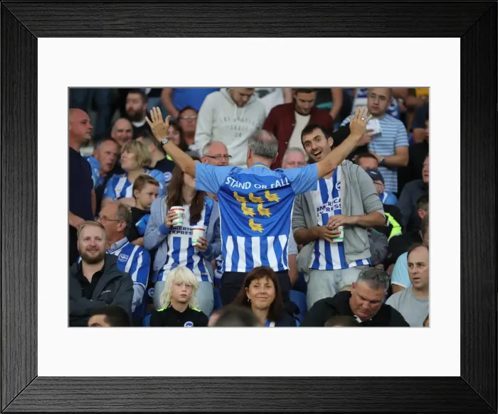Framed Print : Brighton and Hove Albion vs Barnet: EFL Cup Showdown at American Express Community Stadium (22nd August 2017) Framed Print : Brighton and Hove Albion vs Barnet: EFL Cup Showdown at American Express Community Stadium (22nd August 2017)