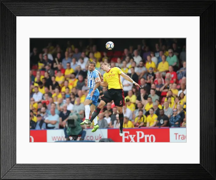 Framed Print : Brighton & Hove Albion vs. Watford: 2017-18 Season Opener Framed Print : Brighton & Hove Albion vs. Watford: 2017-18 Season Opener