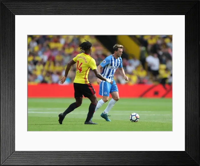 Framed Print : Premier League Showdown: Watford vs. Brighton and Hove Albion (26AUG17) Framed Print : Premier League Showdown: Watford vs. Brighton and Hove Albion (26AUG17)