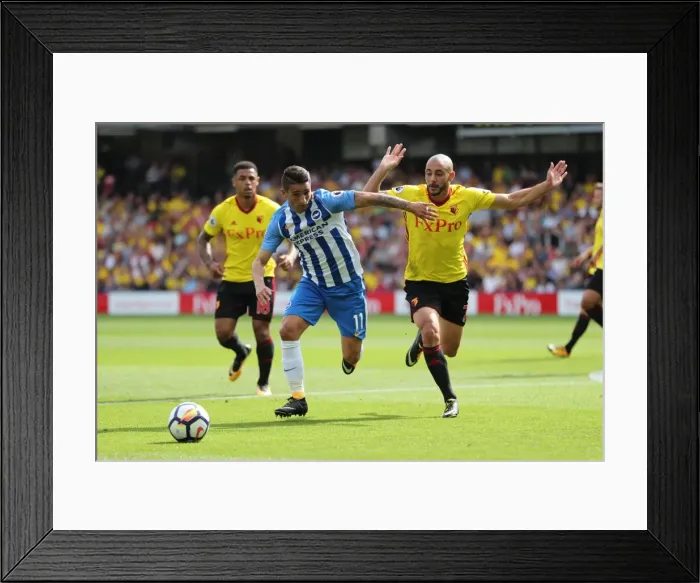 Framed Print : Premier League Showdown: Watford vs. Brighton & Hove Albion (26AUG17) Framed Print : Premier League Showdown: Watford vs. Brighton & Hove Albion (26AUG17)