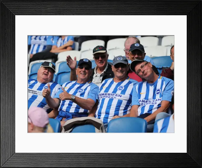 Framed Print : Brighton and Hove Albion vs. West Bromwich Albion: Premier League Showdown at American Express Community Stadium (September 9, 2017) Framed Print : Brighton and Hove Albion vs. West Bromwich Albion: Premier League Showdown at American Express Community Stadium (September 9, 2017)