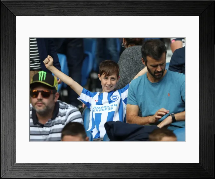 Framed Print : Brighton and Hove Albion vs. West Bromwich Albion: Premier League Showdown at American Express Community Stadium (September 9, 2017) Framed Print : Brighton and Hove Albion vs. West Bromwich Albion: Premier League Showdown at American Express Community Stadium (September 9, 2017)