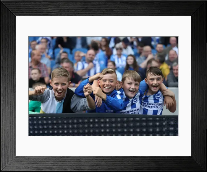 Framed Print : Brighton and Hove Albion vs. West Bromwich Albion: Premier League Showdown at American Express Community Stadium (September 9, 2017) Framed Print : Brighton and Hove Albion vs. West Bromwich Albion: Premier League Showdown at American Express Community Stadium (September 9, 2017)