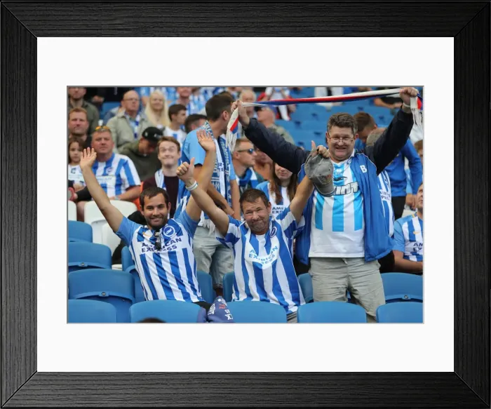 Framed Print : Brighton and Hove Albion vs. West Bromwich Albion: Premier League Showdown at American Express Community Stadium (September 9, 2017) Framed Print : Brighton and Hove Albion vs. West Bromwich Albion: Premier League Showdown at American Express Community Stadium (September 9, 2017)