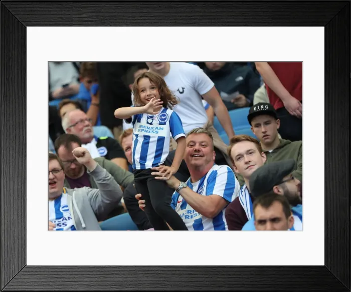 Framed Print : Brighton and Hove Albion vs. West Bromwich Albion: Premier League Showdown at American Express Community Stadium (September 9, 2017) Framed Print : Brighton and Hove Albion vs. West Bromwich Albion: Premier League Showdown at American Express Community Stadium (September 9, 2017)
