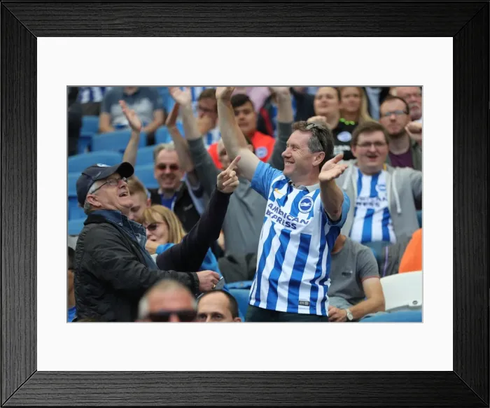Framed Print : Brighton and Hove Albion vs. West Bromwich Albion: Premier League Showdown at American Express Community Stadium (September 9, 2017) Framed Print : Brighton and Hove Albion vs. West Bromwich Albion: Premier League Showdown at American Express Community Stadium (September 9, 2017)