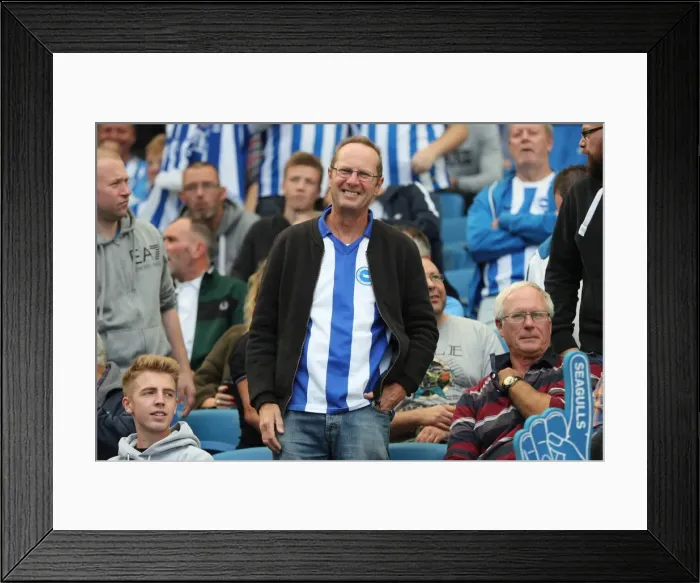 Framed Print : Brighton and Hove Albion vs. West Bromwich Albion: Premier League Showdown at American Express Community Stadium (September 9, 2017) Framed Print : Brighton and Hove Albion vs. West Bromwich Albion: Premier League Showdown at American Express Community Stadium (September 9, 2017)